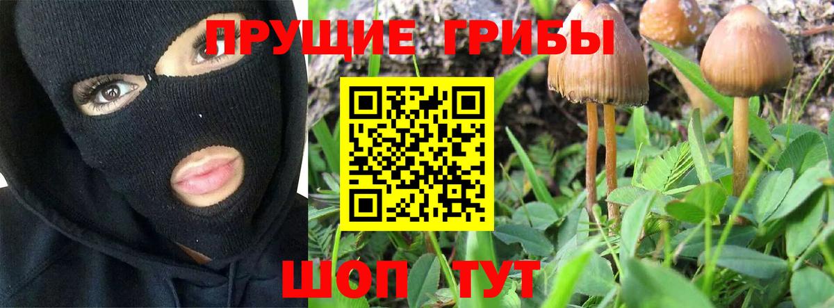 Псилоцибиновые грибы GOLDEN TEACHER  продажа наркотиков  Феодосия  Вход с VPN 